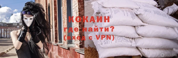 стаф Алзамай