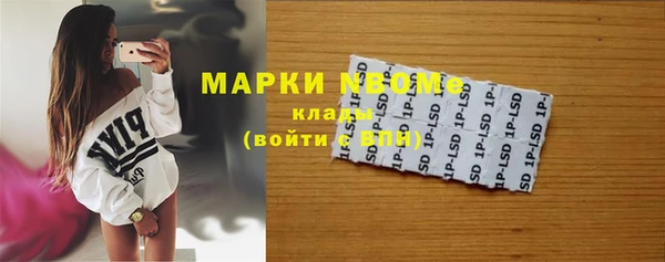 стаф Алзамай