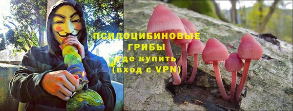 стаф Алзамай