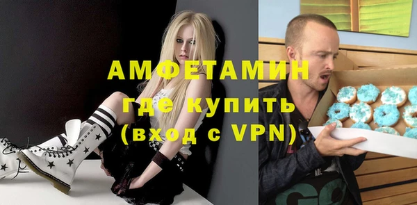 стаф Алзамай